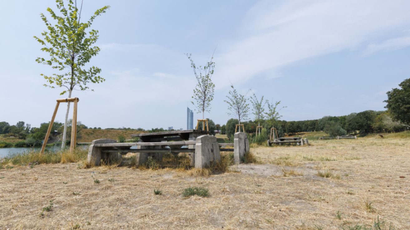 A concrete picnic table and bench are set in a grassy field with a distant city skyline and trees.
