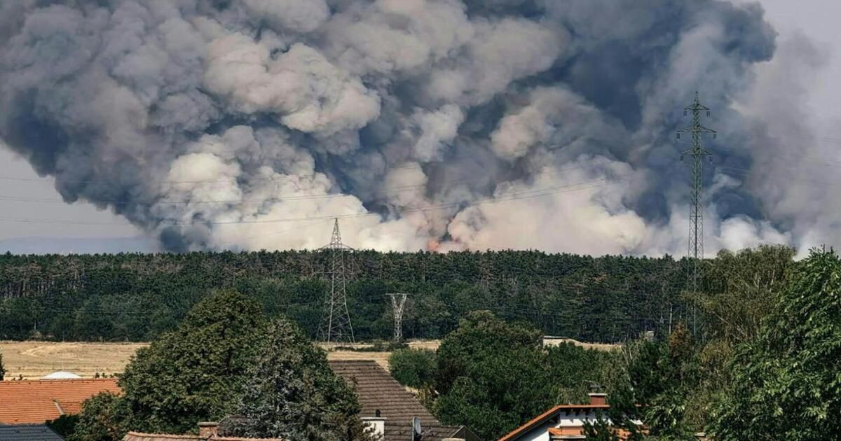 Ein großer Rauchschwaden steigt von einem Waldbrand auf, mit Stromleitungen und Bäumen im Vordergrund.