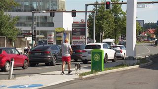 Ein Mann in roten Shorts führt seinen Hund an der Leine auf einer belebten Straße, mit mehreren Autos und einem grünen Schild mit Pfeil.