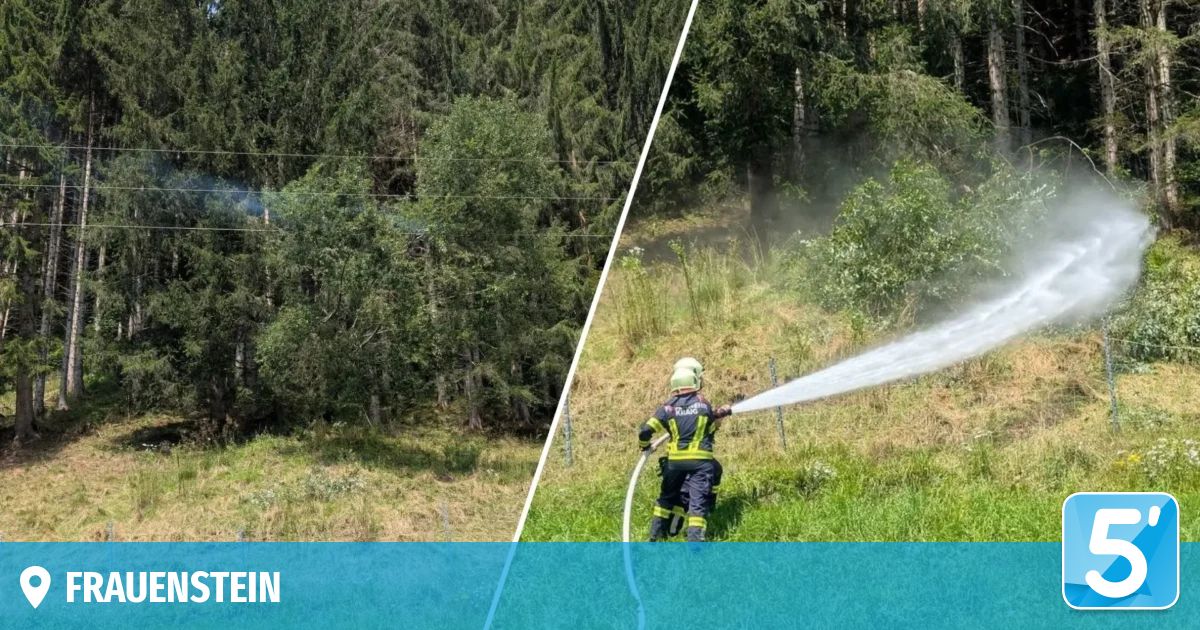 Ein Feuerwehrmann in voller Ausrüstung sprüht mit einem Schlauch Wasser auf einen grasigen Hang. Im Hintergrund sind Bäume und Sträucher zu sehen.