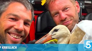 Zwei Männer in einem Fahrzeug, einer hält einen Vogel, beide lächeln. Der Vogel hat einen langen Schnabel und ist weiß.