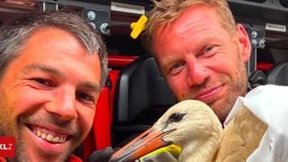 Zwei Männer lächeln in einem Feuerwehrauto, einer hält einen Vogel. Der Vogel hat einen langen Schnabel und schaut in die Kamera.