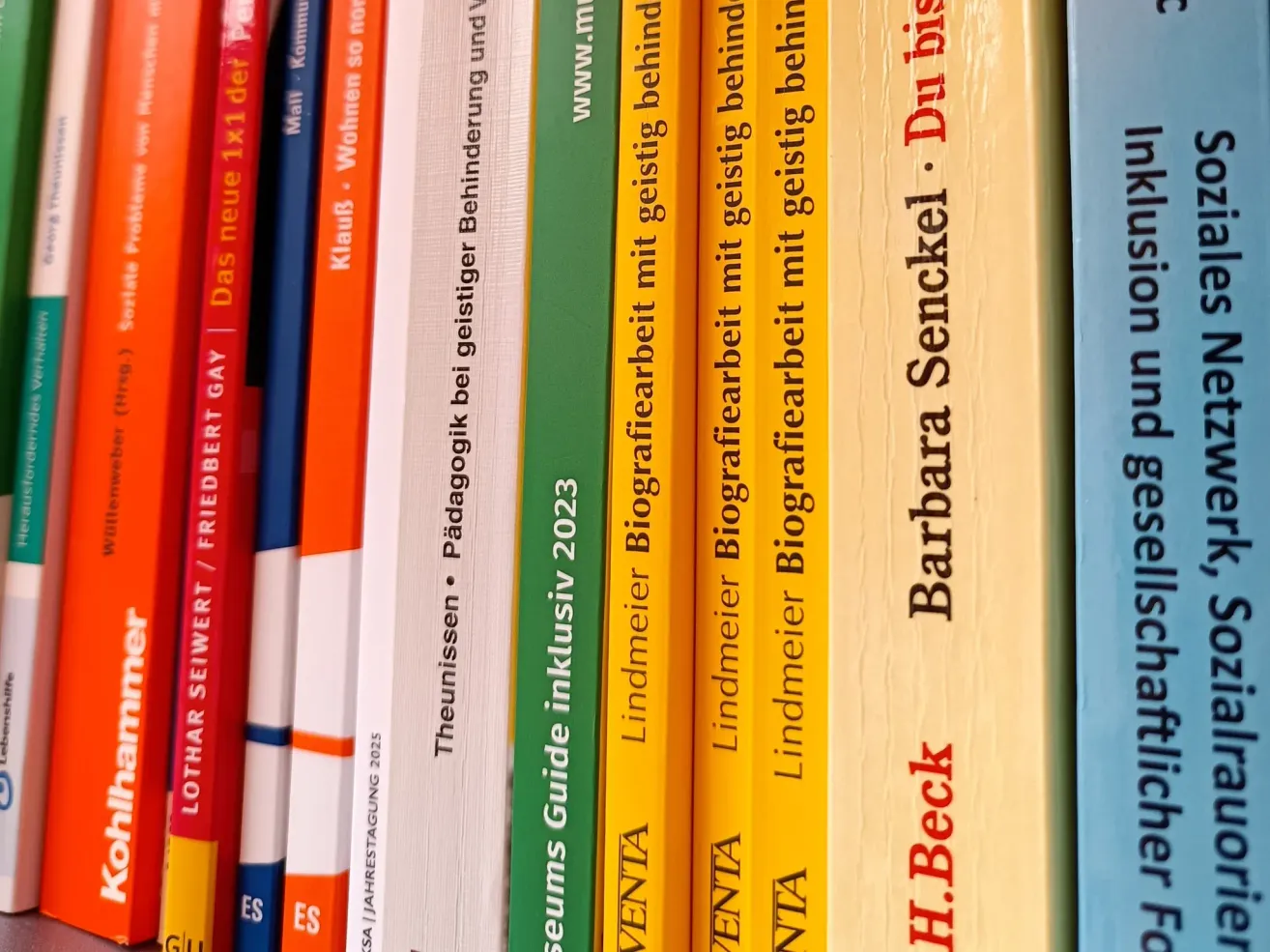 Eine Reihe von Büchern mit sichtbaren Buchrücken, einschließlich Titel wie 'Das neue x1 der FREIHEIT', 'Klaub', 'Theunissen', 'Pädagogik bei geistiger Behinderung und', 'Guide inklusiv 2023', 'Biografierbarbeit mit geistiger Behinderung', 'Biografierbarbeit mit geistiger Behinderung' und 'Barbara Senckel'.