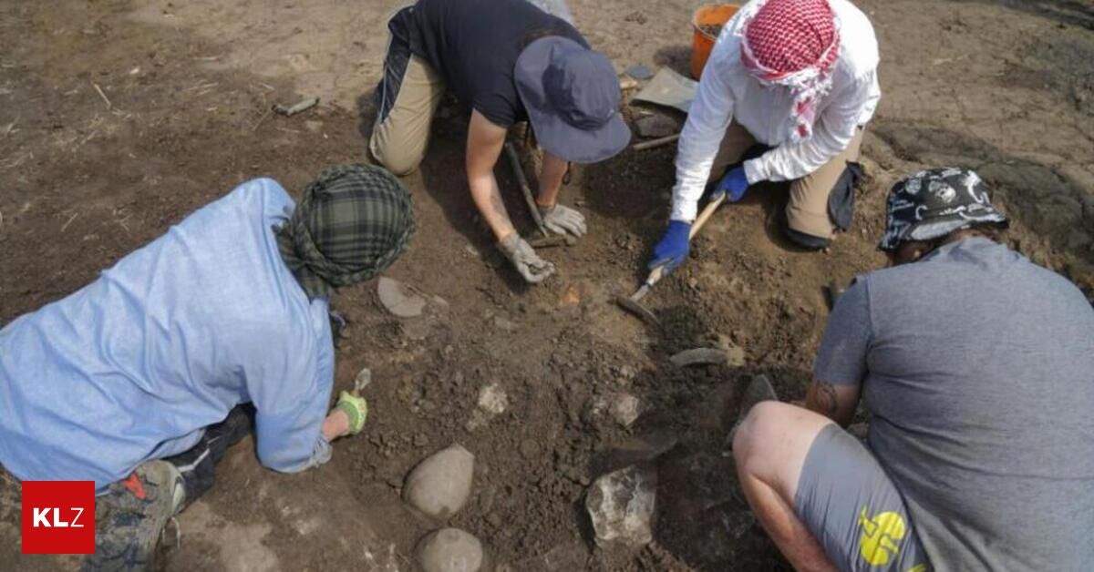 A group of people are engaged in an archaeological excavation, wearing gloves and hats. They are using tools to dig through the soil, revealing stones and other artifacts.