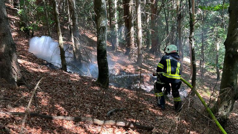 Ein Feuerwehrmann in voller Ausrüstung löscht mit einem Schlauch ein kleines Feuer im Wald.