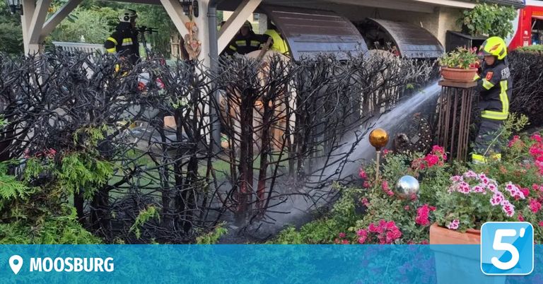 Feuerwehrleute sprühen Wasser auf einen verbrannten Hecken vor einem Haus. Der Hecken ist verkohlt, und das Wasser spritzt auf die Pflanzen.