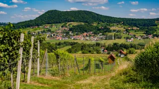 Eine malerische ländliche Landschaft mit einem kleinen Dorf, eingebettet zwischen grünen Hügeln und Weinbergen unter einem teilweise bewölkten Himmel.