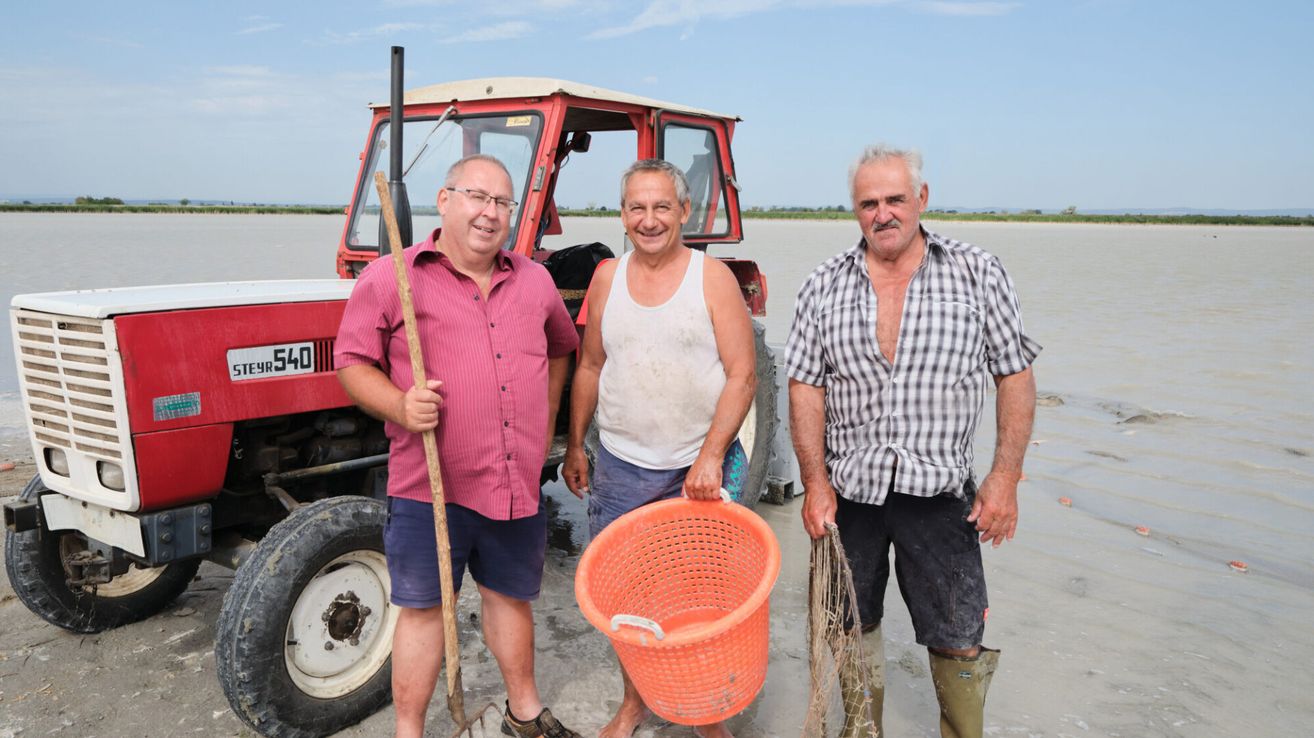 Drei Männer stehen in einem schlammigen Feld, einer hält einen Korb, ein anderer eine Angel, und der dritte eine Harke, mit einem roten Traktor im Hintergrund.