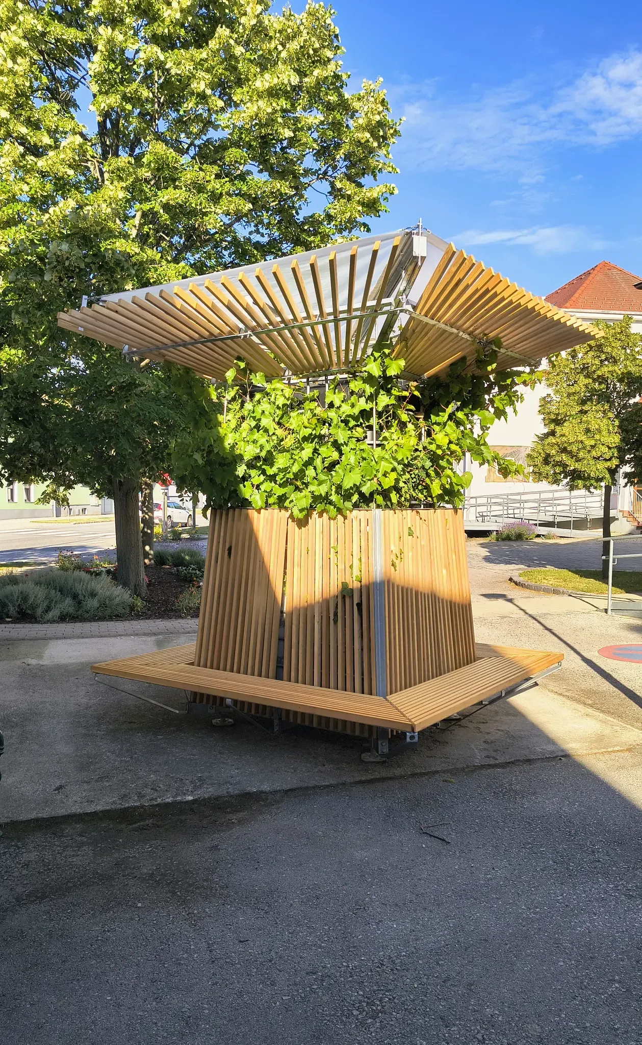 Eine hölzerne Struktur mit einer grünen Pflanze im Inneren, mit einer Bank und einem Baldachin, in einem Park mit Bäumen und Gebäuden im Hintergrund.