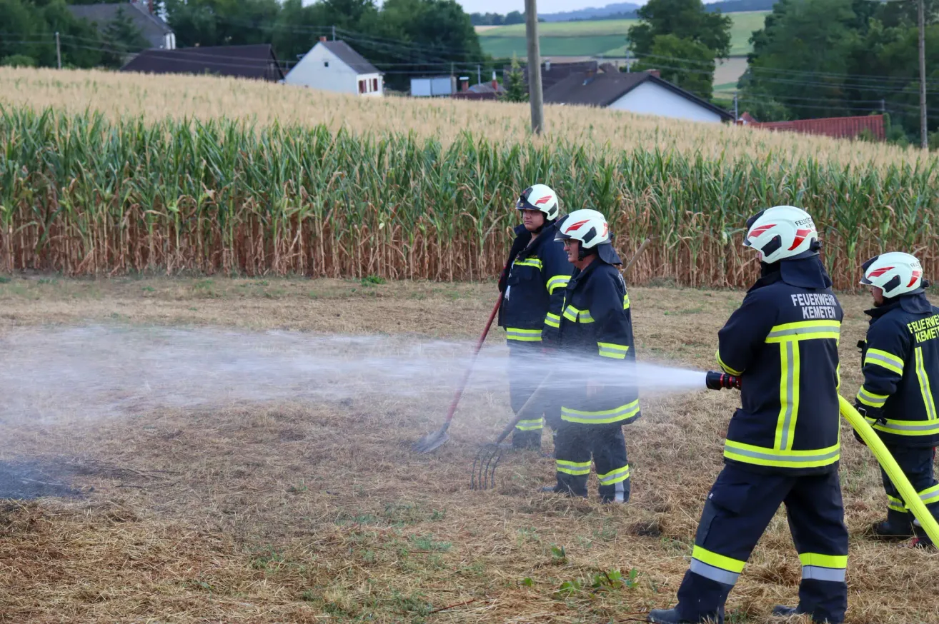Feuerwehrleute verwenden eine Harke und einen Schlauch, um einen Brand in einem Maisfeld zu löschen. Das Feld ist von Häusern und Bäumen umgeben.