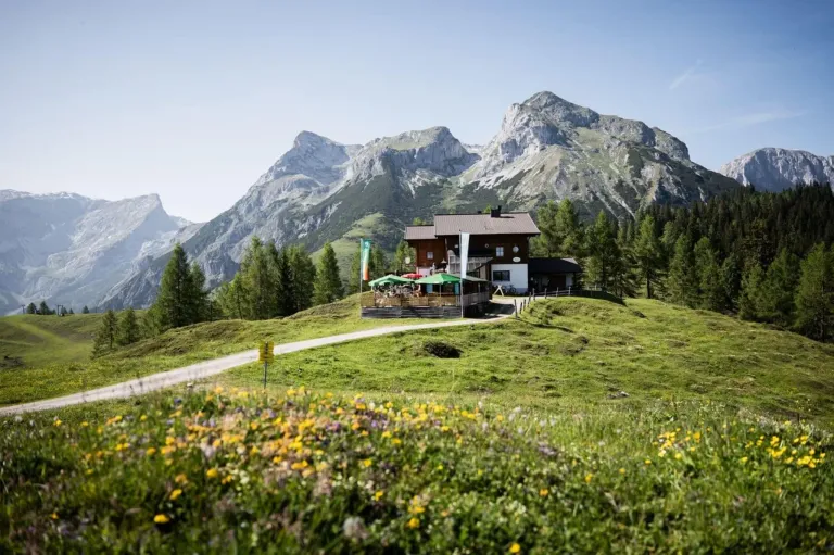 Ein Chalet mit einer Flagge und grünen Sonnenschirmen steht auf einem grasbewachsenen Hügel, umgeben von Bäumen und Blumen, mit Bergen im Hintergrund.