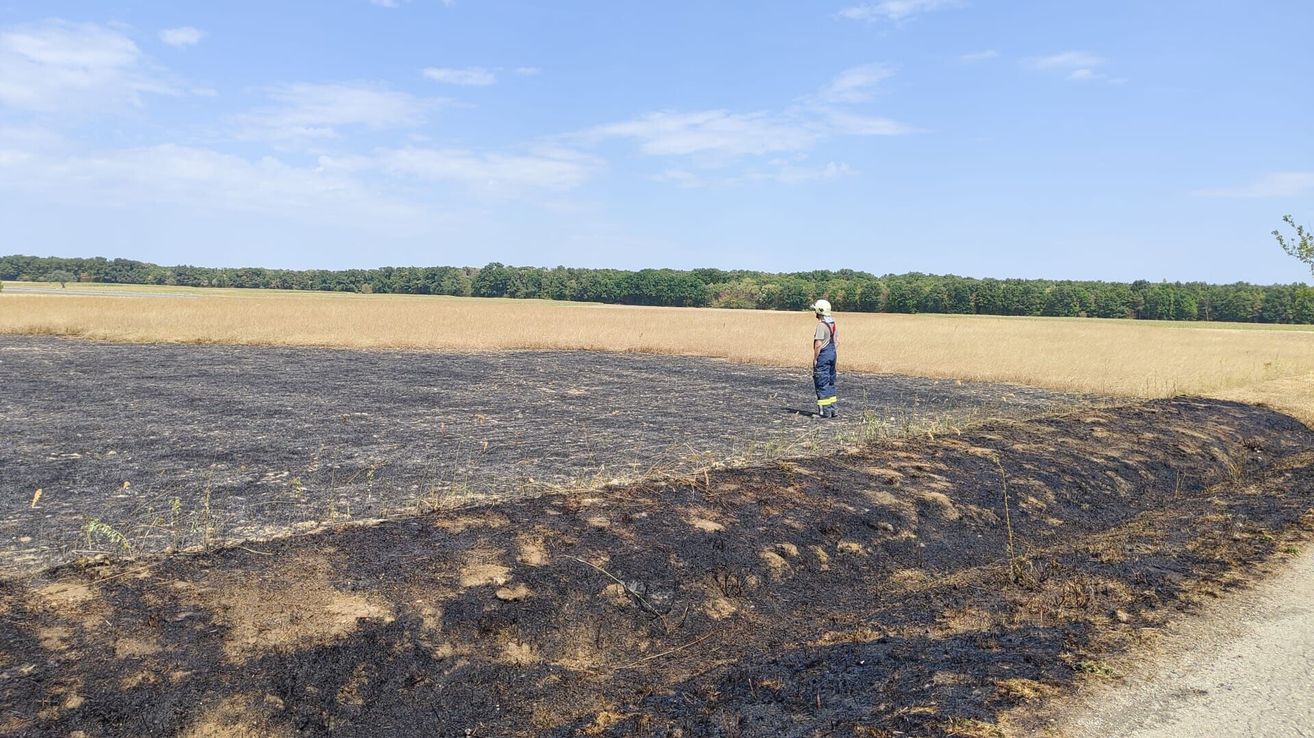 Eine Person in Schutzkleidung steht auf einem verbrannten Feld unter einem blauen Himmel mit verstreuten Wolken.