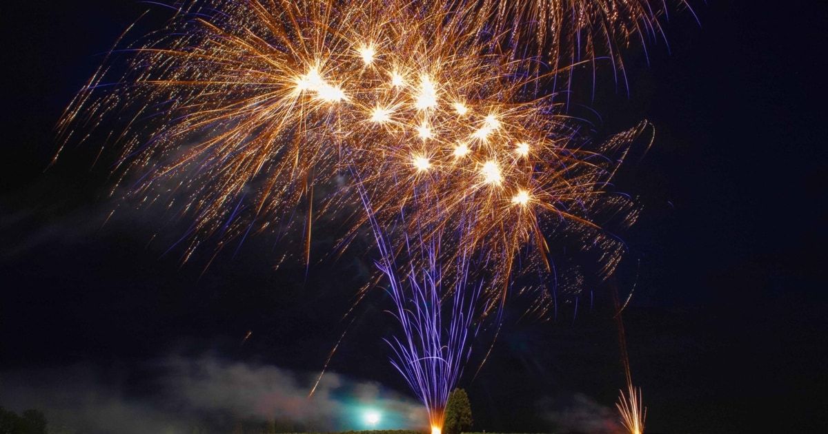 Ein nächtliches Feuerwerk mit mehreren Farben und Formen, die den Himmel erhellen, mit einem Baum und einem entfernten Licht im Hintergrund.