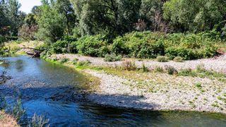 Ein ruhiger Fluss mit klarem Wasser und einem Schotterufer, umgeben von üppiger Grünfläche und einer Holzbrücke im Hintergrund.