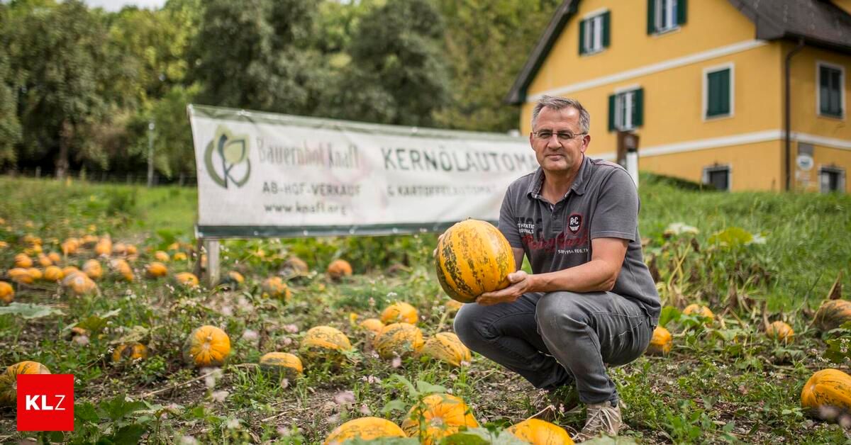 Ein Mann mit Brille und grauem Shirt kniet in einem Kürbisfeld und hält eine große Kürbis in den Händen. Dahinter steht ein gelbes Haus mit einem Banner.