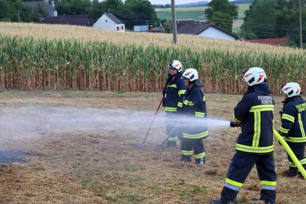 Feuerwehrleute in voller Montur stehen in einem Maisfeld und löschen mit einem Schlauch ein kleines Feuer.