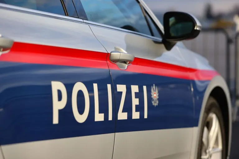 Ein Nahaufnahme eines Polizeiwagens mit dem Wort 'POLIZEI' und einem Logo auf der Seite. Das Auto ist blau und weiß mit roten Streifen.