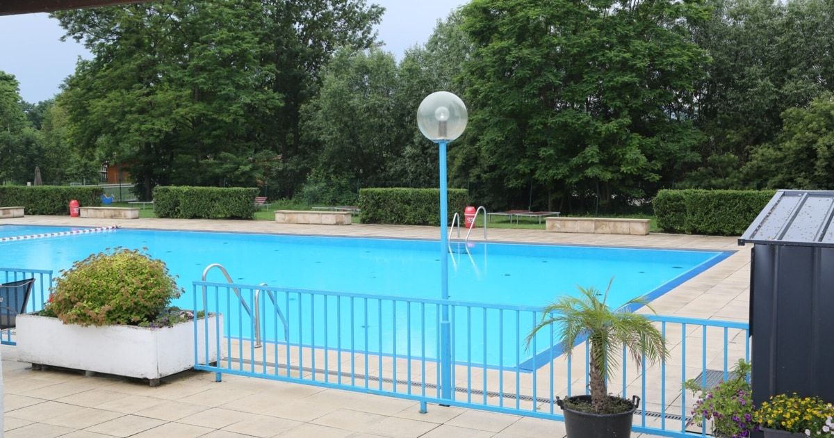 An empty swimming pool with a blue fence, a lamp, and a potted palm tree in a park.