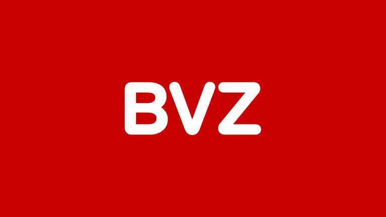 The image displays the letters BVZ in white on a red background. The letters are large and bold, with a modern, sans-serif font.