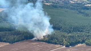 Eine Luftaufnahme eines Waldbrandes mit aufsteigendem Rauch, in der Nähe parkt ein Fahrzeug.