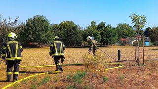 Zwei Feuerwehrleute in voller Ausrüstung arbeiten auf einem Feld mit gelben Schläuchen. Einer hält eine Schlauch, der andere geht. Bäume und eine Windmühle sind im Hintergrund.