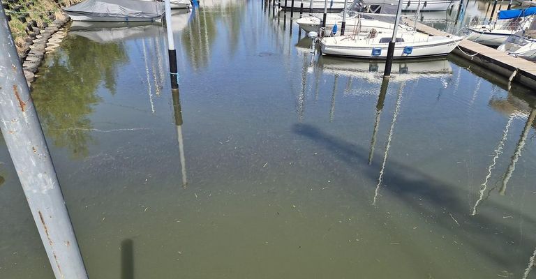 A marina with several boats docked, reflecting on the water. The water appears murky.