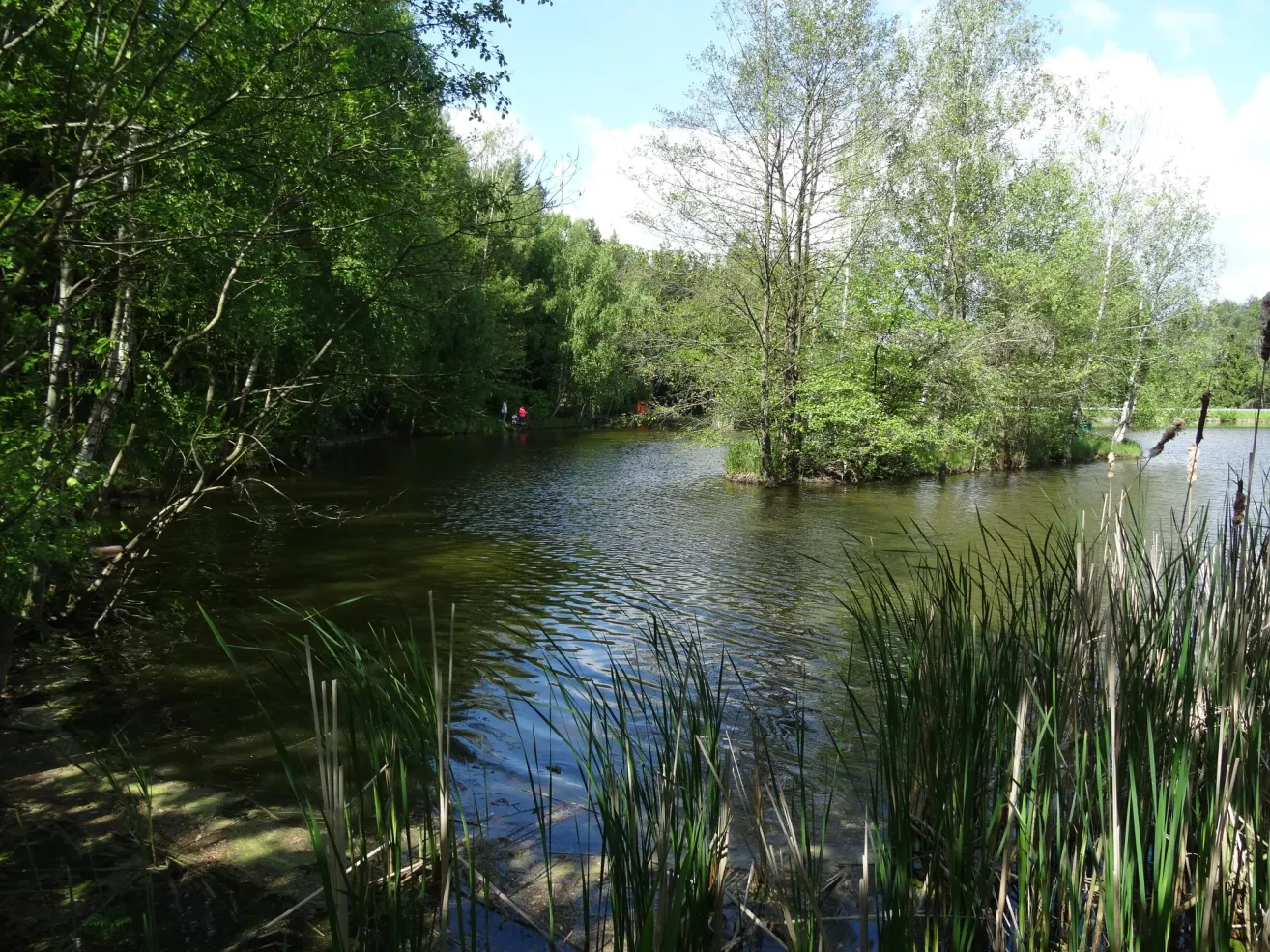 Ein ruhiger See, umgeben von üppigem Grün und Bäumen, mit einer kleinen Gruppe von Menschen in einem Boot in der Ferne.
