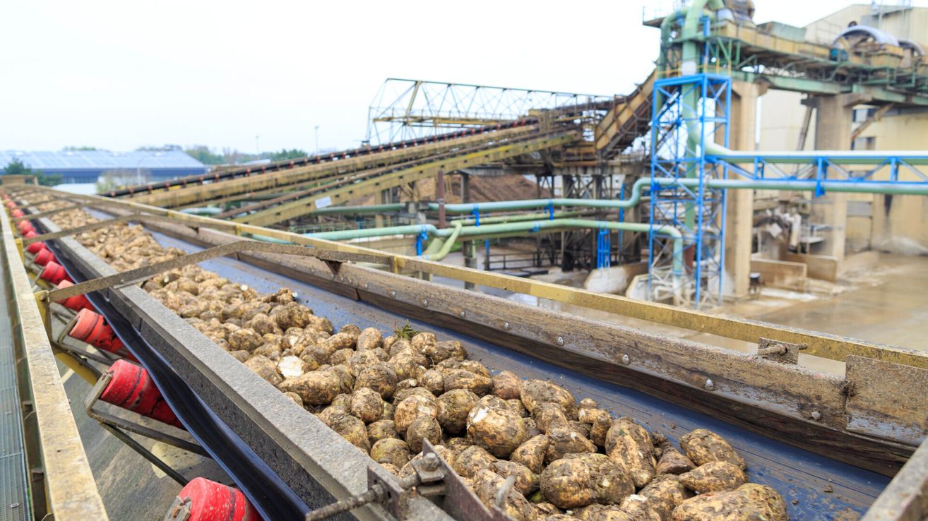 Ein Förderband voller Kartoffeln bewegt sich durch eine Industrieanlage mit Rohren und Maschinen im Hintergrund.