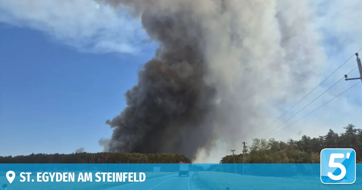 A large plume of smoke rises from a forest fire, visible from a road with a blue sign reading 'N AM STEINFELD'. Trees and utility poles are in the background.