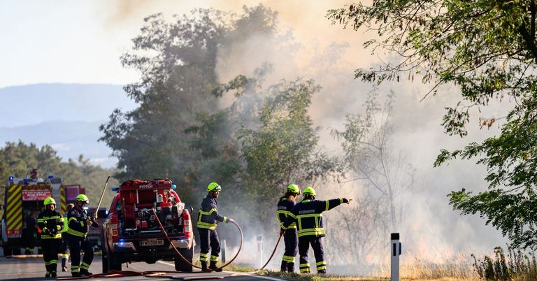 Three firefighters in yellow uniforms are directing a hose towards a wildfire, with a red fire truck parked nearby.