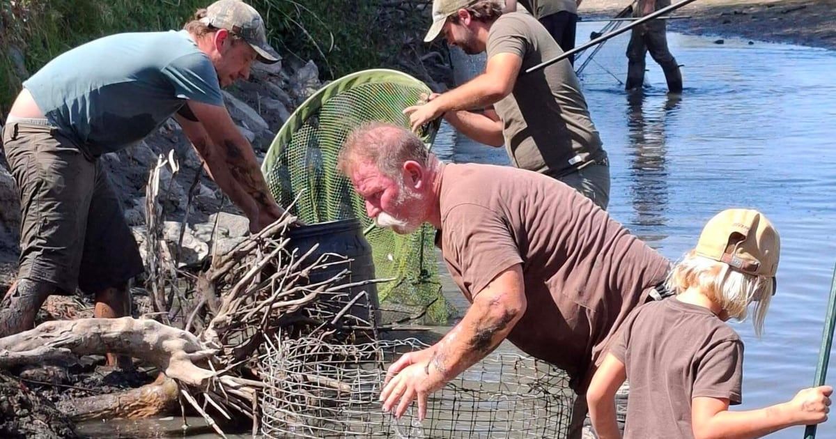 Four men are fishing in a river, two are holding a net and the other two are looking at the fish.