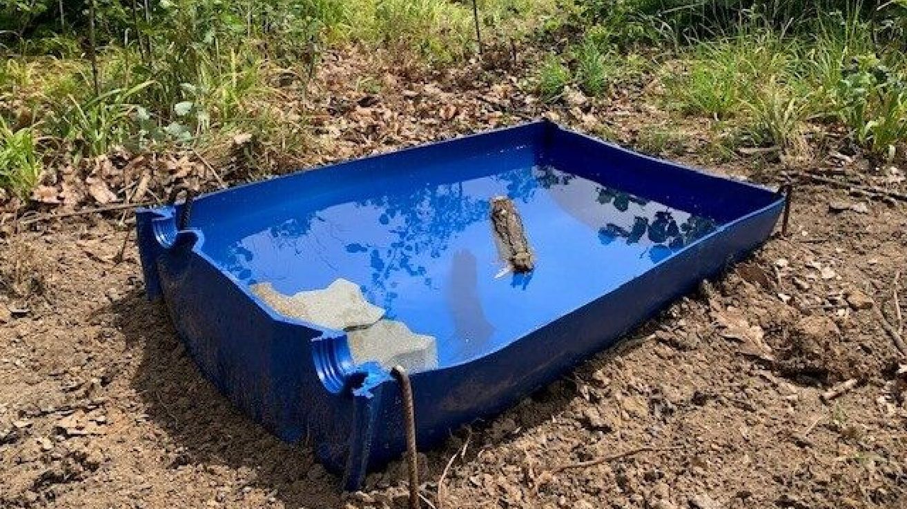 A blue rectangular container filled with water, sitting on the ground with a log inside and surrounded by dirt and grass.