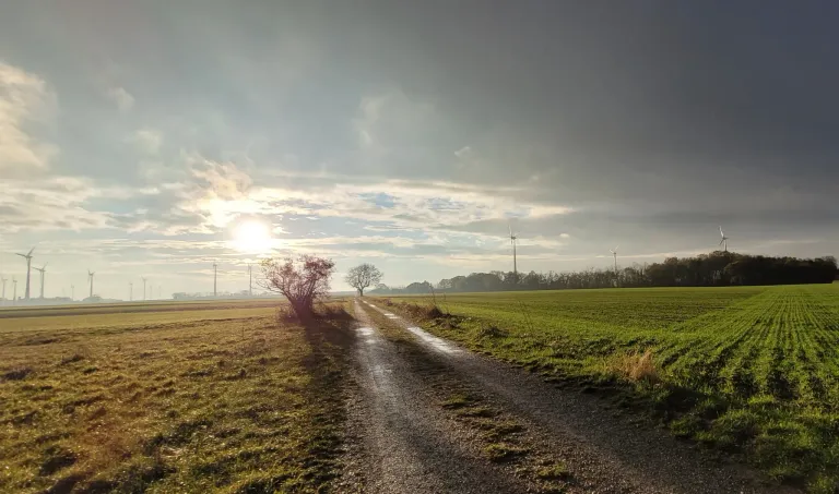 A dirt road leads through a green field with wind turbines in the distance under a cloudy sky.