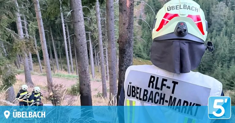A person in a forest wearing a white and yellow safety jacket with the text 'RLF-T UBELBAC-MARK' on the back and a helmet with the text 'UBELBA' on it.