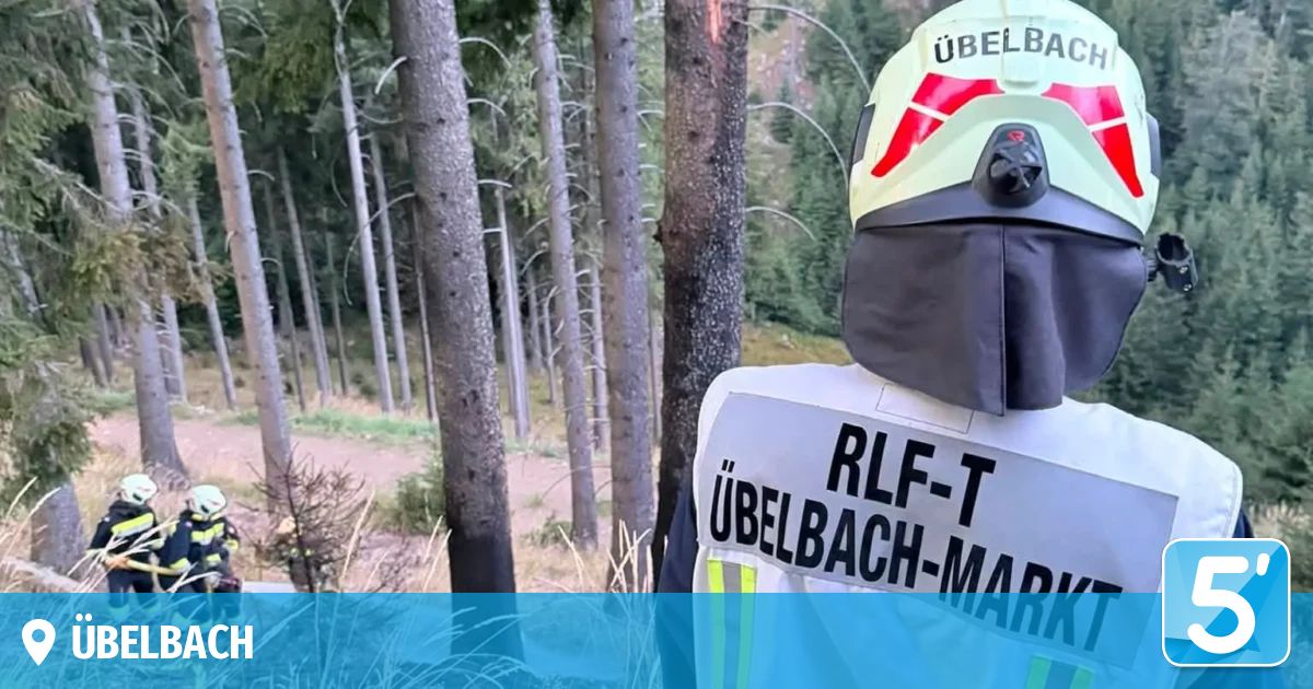 A person in a forest wearing a white and yellow safety jacket with the text 'RLF-T UBELBAC-MARK' on the back and a helmet with the text 'UBELBA' on it.