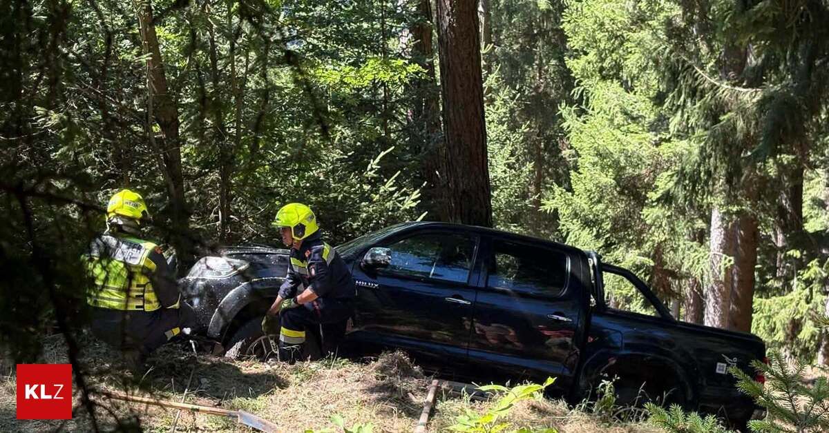 Ein Feuerwehrmann in einem gelben Helm begutachtet einen schwarzen Pickup-Truck, der in einem Wald gegen einen Baum geprallt ist.