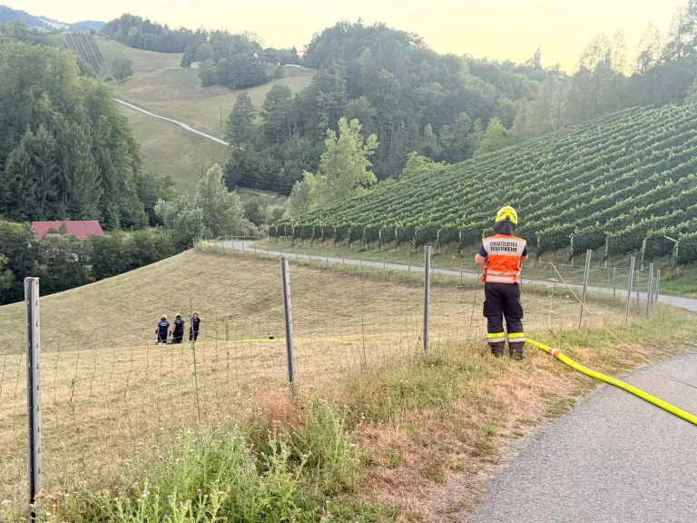 A firefighter stands near a fence in a vineyard, with three others in the background. The vineyard is surrounded by a fence and a road. Trees and a house are visible in the distance.