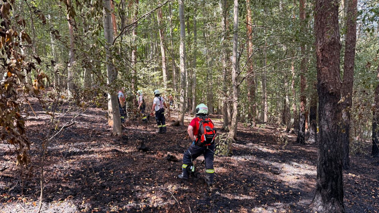 Eine Gruppe von Feuerwehrleuten in voller Ausrüstung, einschließlich Helmen und Rucksäcken, geht durch einen verbrannten Wald. Der Boden ist mit Asche und verkohltem Holz bedeckt.