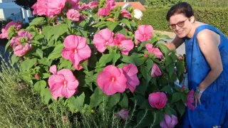 Eine Frau in einem blauen Kleid steht neben einem Strauch mit rosa Hibiskusblüten, lächelt und hält eine Blume. Im Hintergrund befindet sich ein Haus und ein Berg.