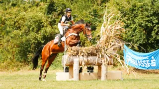 A rider in a helmet and riding gear is on a brown horse, jumping over a hurdle in an outdoor setting.