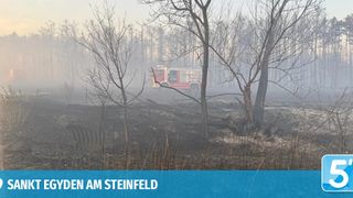 Ein Feuerwehrauto fährt durch einen nebligen Wald mit laublosen Bäumen und bewegt sich auf ein verbranntes Gebiet zu.