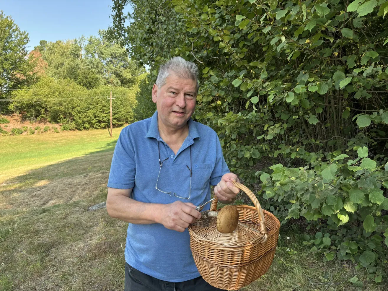 An older man in a blue shirt is holding a wicker basket with a mushroom inside, standing in a grassy area with trees in the background.