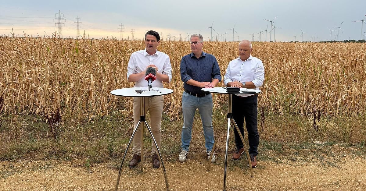 Three men stand in a cornfield with microphones and papers, likely conducting an interview. Behind them, wind turbines and power lines are visible.