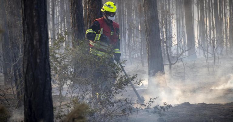 Ein Feuerwehrmann in einem gelben Helm und einer Maske benutzt ein Werkzeug, um einen Brand in einem Wald zu löschen.