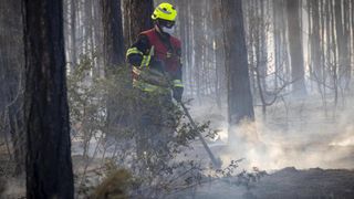 A firefighter in a yellow helmet and mask is using a tool to extinguish a fire in a forest.