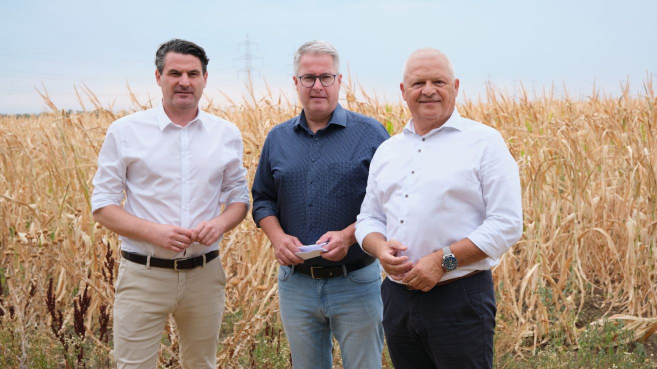 Three men in formal attire stand in a cornfield, with one holding a piece of paper and smiling. The background shows a clear sky and distant power lines.