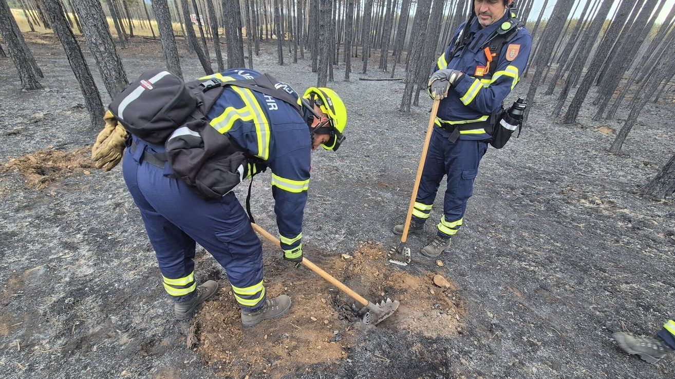 Zwei Feuerwehrleute in blauen Uniformen und Helmen arbeiten in einem verbrannten Waldgebiet, einer gräbt mit einer Schaufel und der andere hält einen Stock.