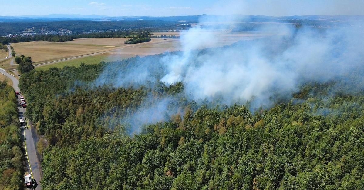 Eine Luftaufnahme eines Waldes mit Rauch, der aus einem Feuer in der Mitte der Bäume aufsteigt.