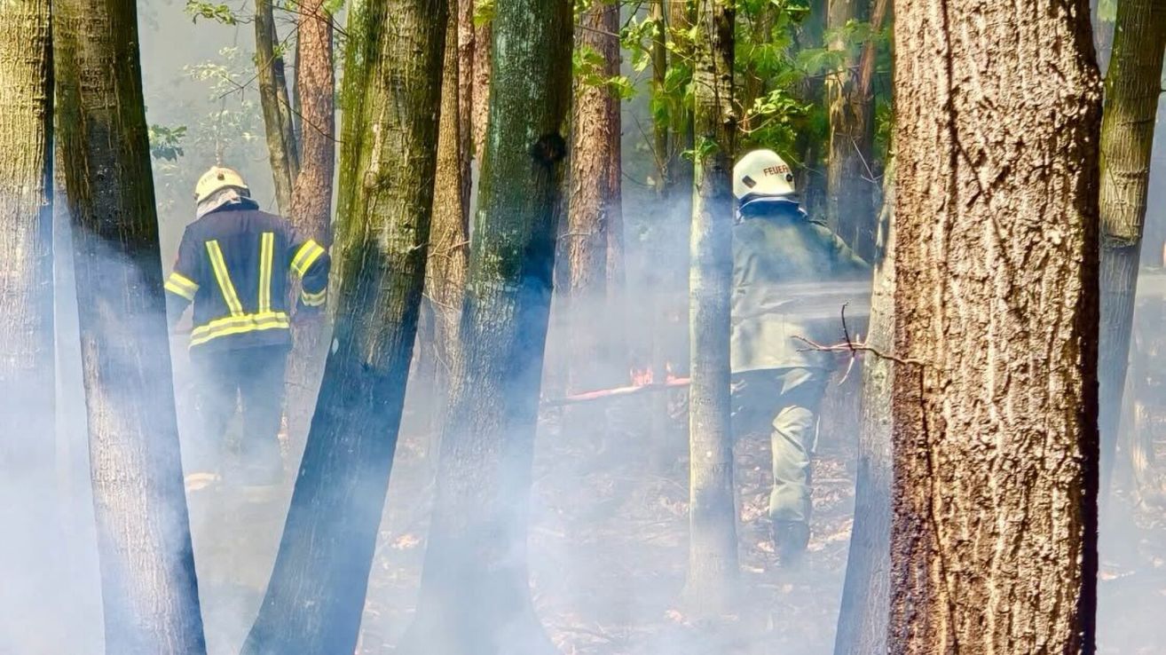 Ein Feuerwehrmann mit einem Helm, der mit 'FEUER' beschriftet ist, steht in einem rauchigen Wald, mit einem anderen Feuerwehrmann in reflektierender Kleidung in der Nähe. Bäume umgeben sie, und der Boden ist mit Blättern bedeckt.