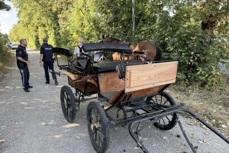 Ein Polizeibeamter geht an einer Pferdekutsche mit einem braunen Pferd vorbei, während zwei Personen in der Nähe der Kutsche stehen.